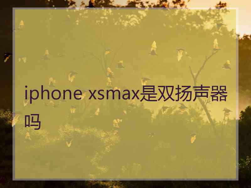 iphone xsmax是双扬声器吗