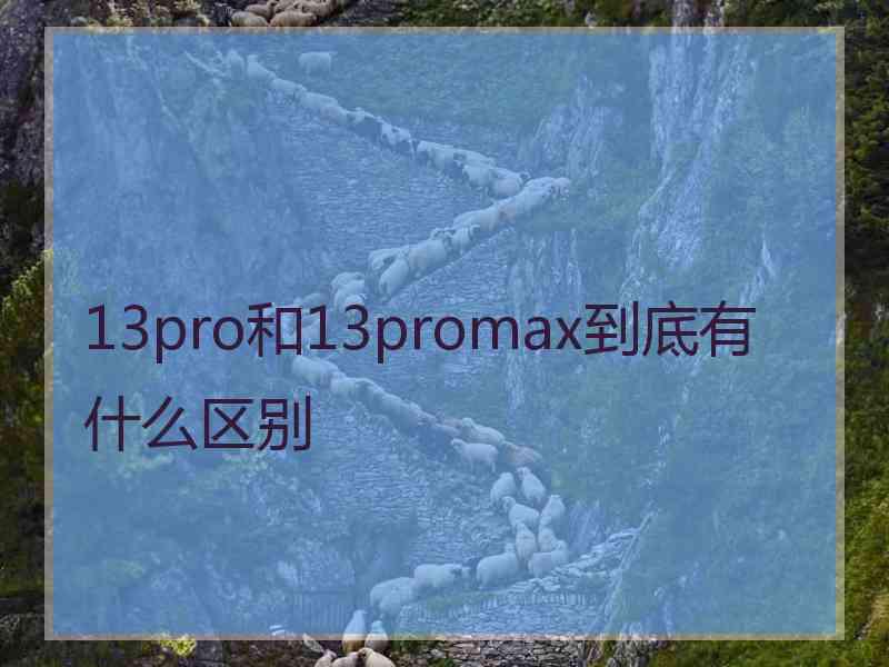 13pro和13promax到底有什么区别