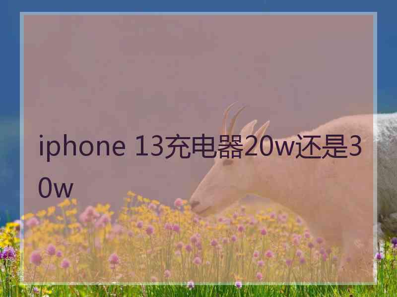 iphone 13充电器20w还是30w