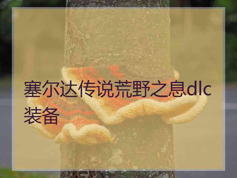 塞尔达传说荒野之息dlc装备