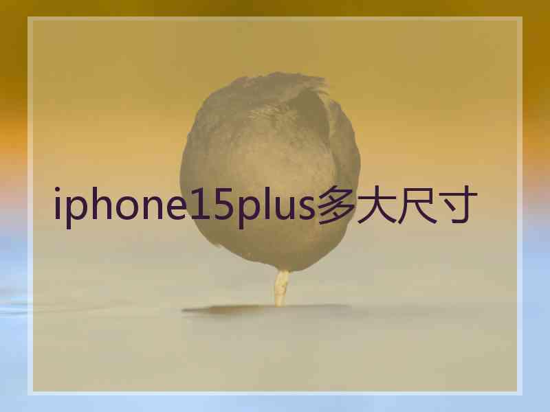 iphone15plus多大尺寸