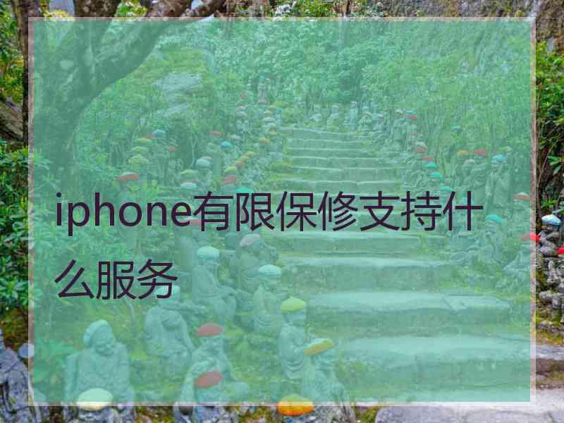 iphone有限保修支持什么服务