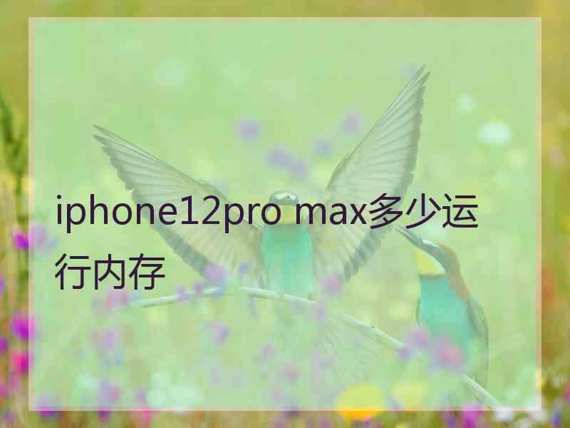 iphone12pro max多少运行内存