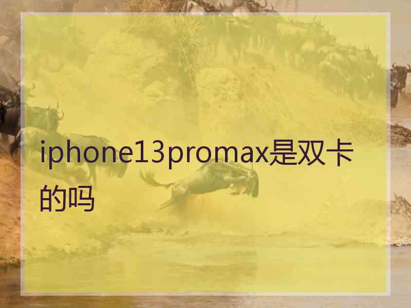 iphone13promax是双卡的吗