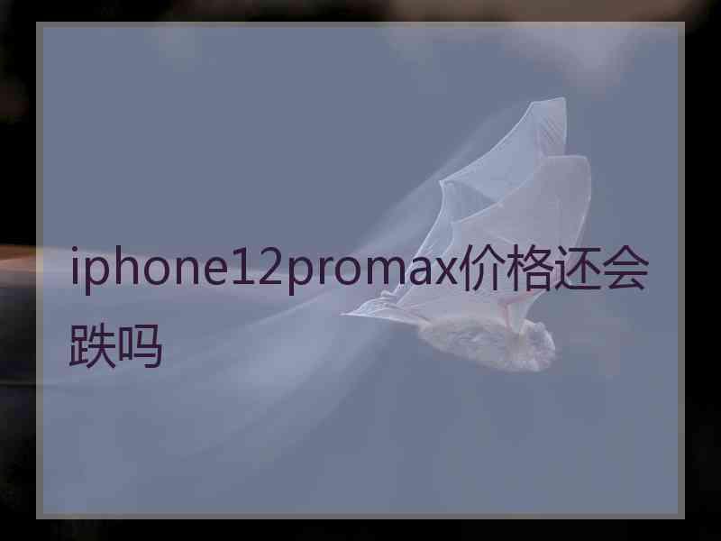 iphone12promax价格还会跌吗