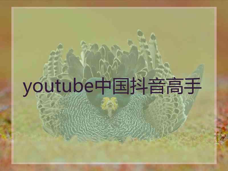 youtube中国抖音高手