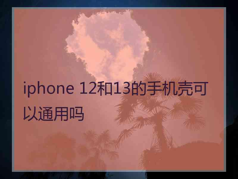 iphone 12和13的手机壳可以通用吗