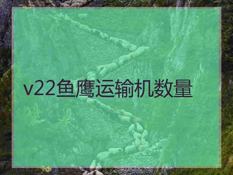 v22鱼鹰运输机数量