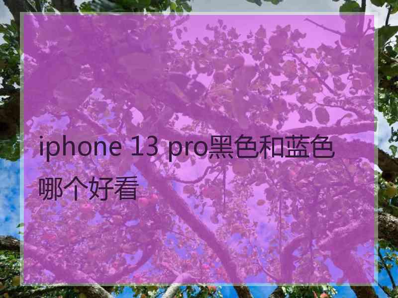 iphone 13 pro黑色和蓝色哪个好看