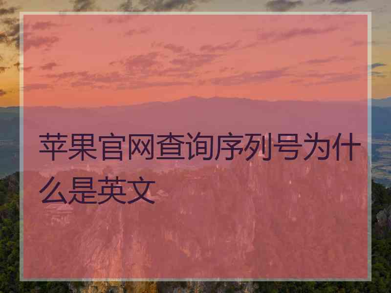 苹果官网查询序列号为什么是英文