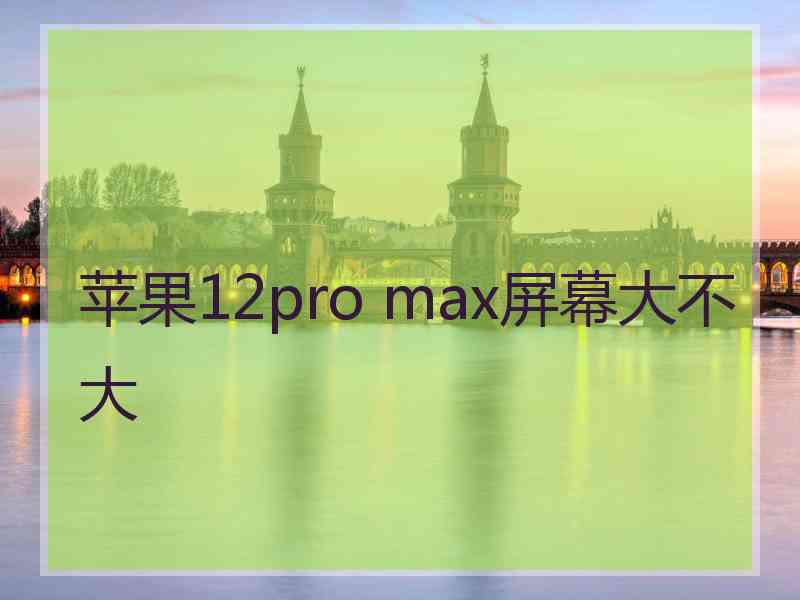 苹果12pro max屏幕大不大