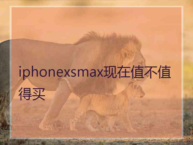 iphonexsmax现在值不值得买