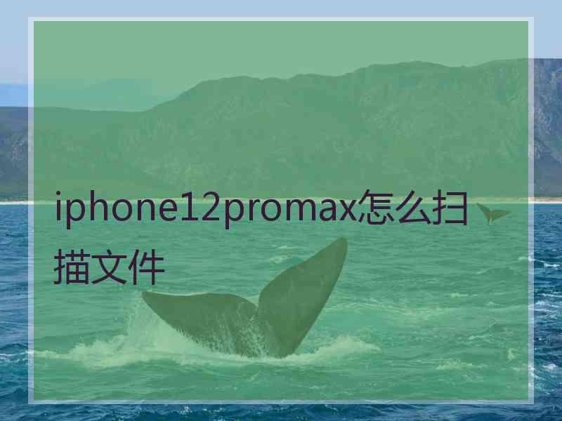 iphone12promax怎么扫描文件