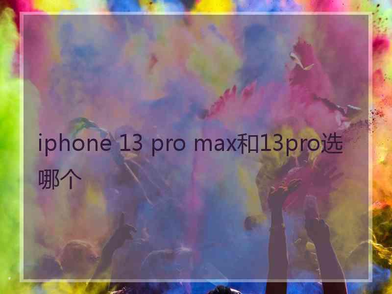 iphone 13 pro max和13pro选哪个