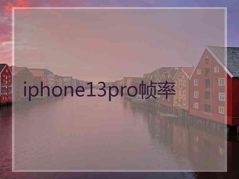 iphone13pro帧率