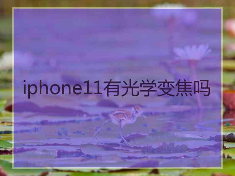 iphone11有光学变焦吗