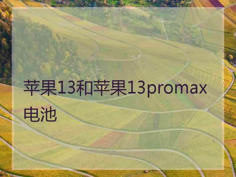 苹果13和苹果13promax电池