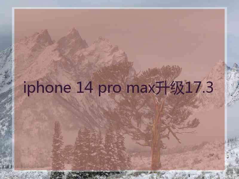 iphone 14 pro max升级17.3