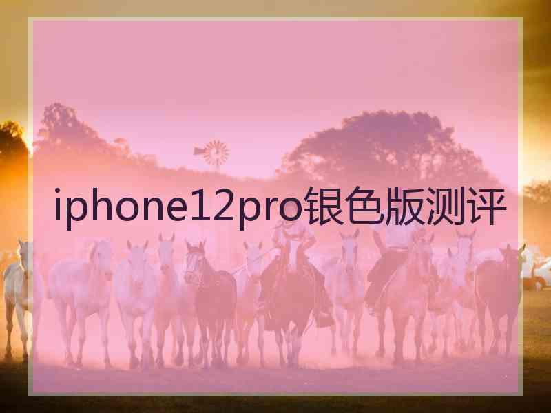 iphone12pro银色版测评