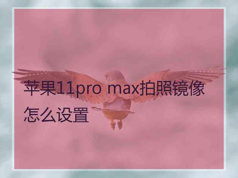 苹果11pro max拍照镜像怎么设置