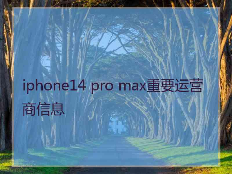 iphone14 pro max重要运营商信息