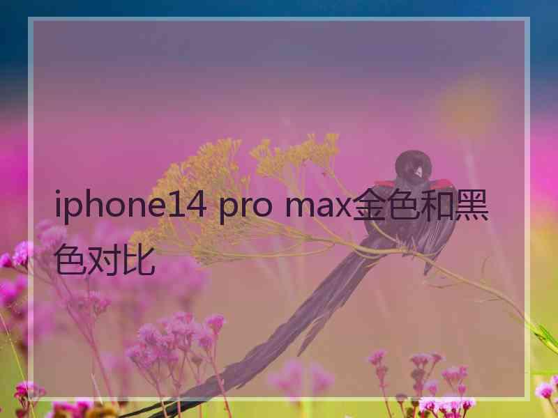 iphone14 pro max金色和黑色对比