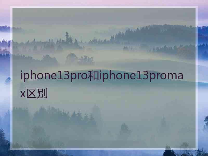 iphone13pro和iphone13promax区别