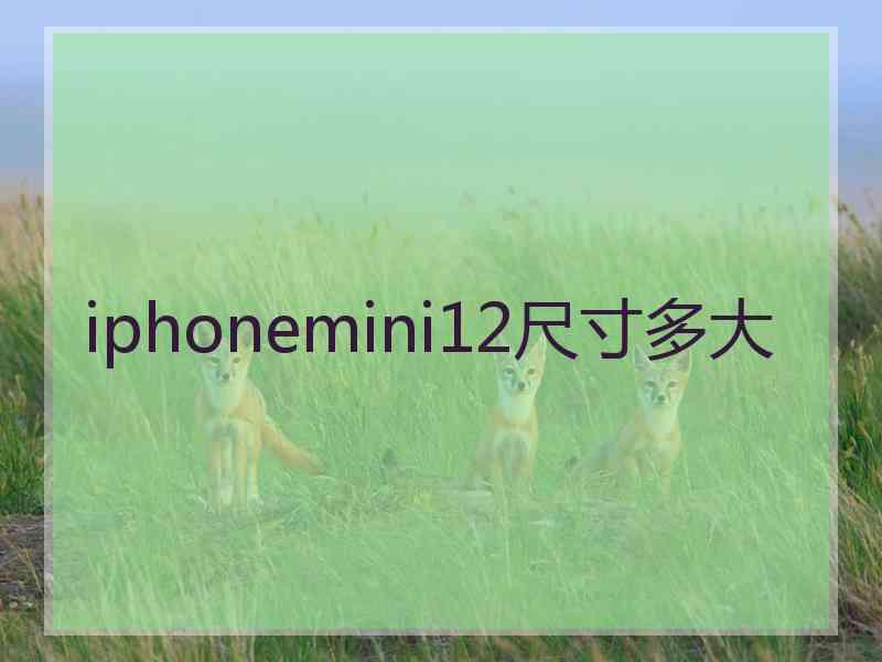 iphonemini12尺寸多大