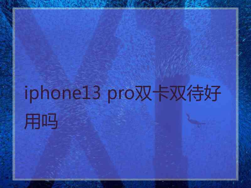 iphone13 pro双卡双待好用吗