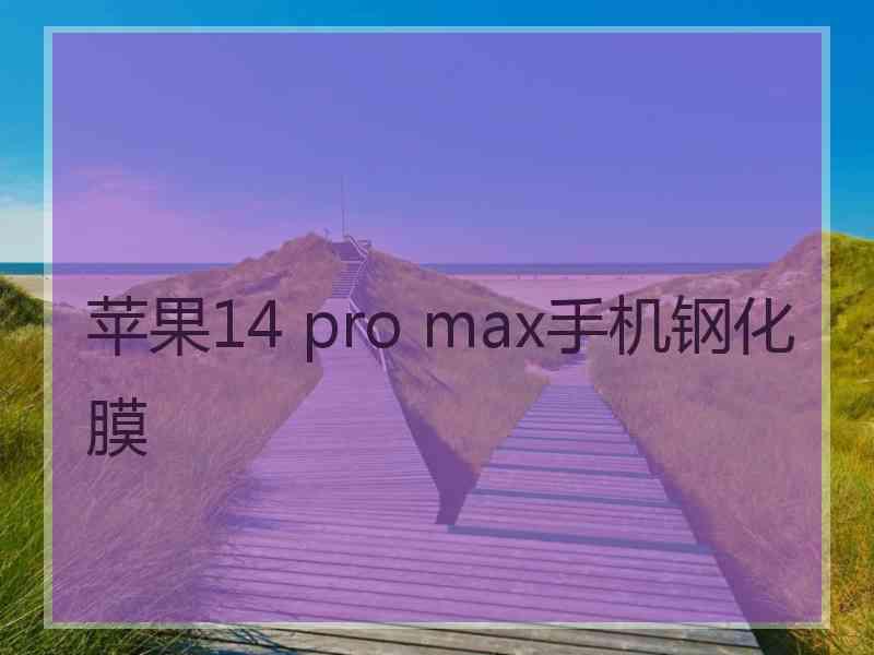 苹果14 pro max手机钢化膜