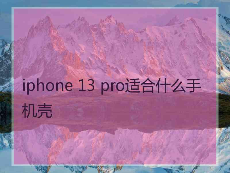 iphone 13 pro适合什么手机壳