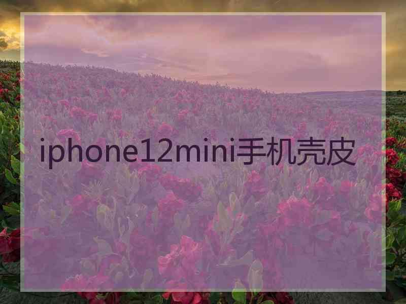 iphone12mini手机壳皮