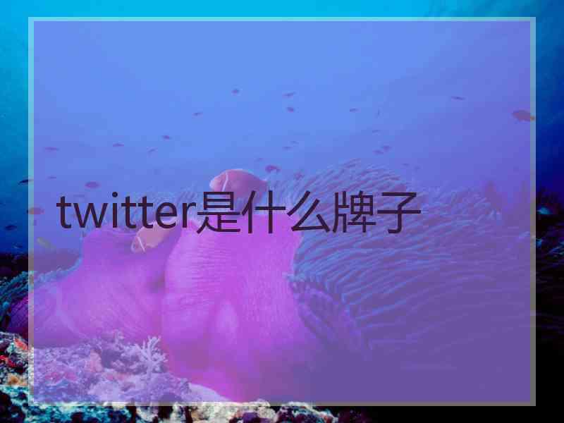 twitter是什么牌子