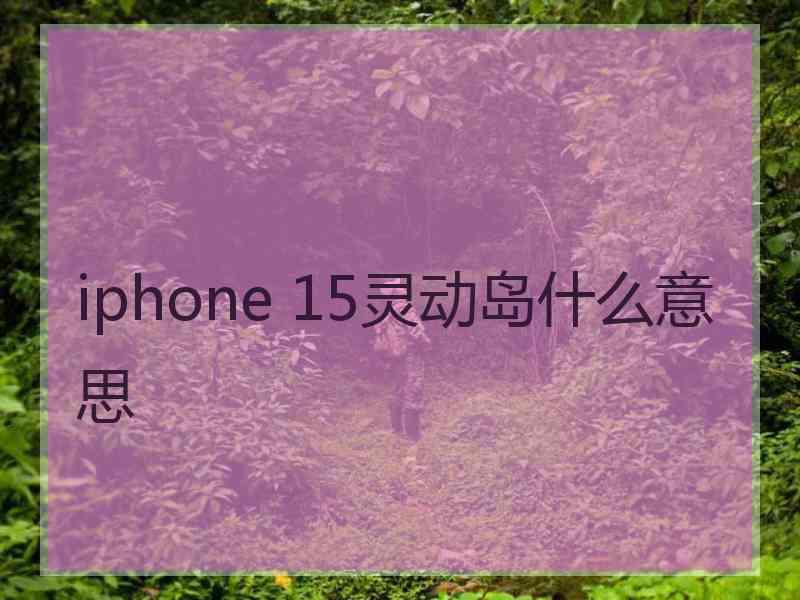 iphone 15灵动岛什么意思