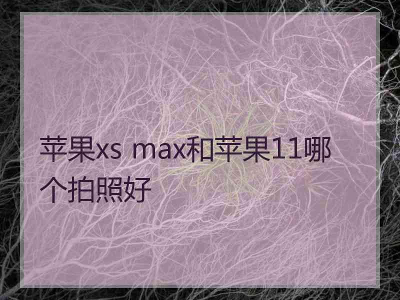 苹果xs max和苹果11哪个拍照好