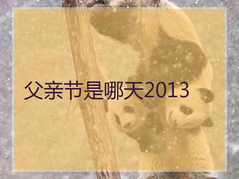 父亲节是哪天2013