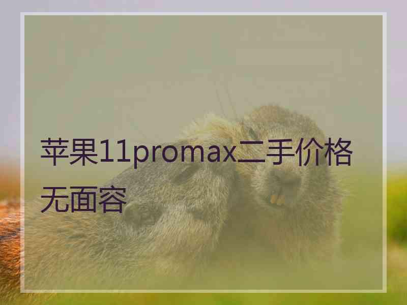 苹果11promax二手价格无面容