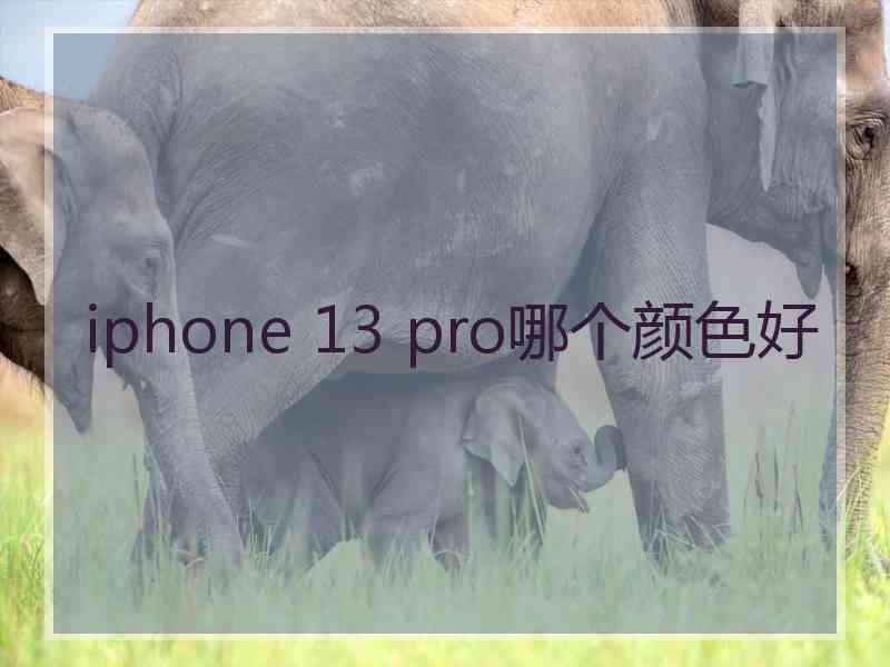 iphone 13 pro哪个颜色好