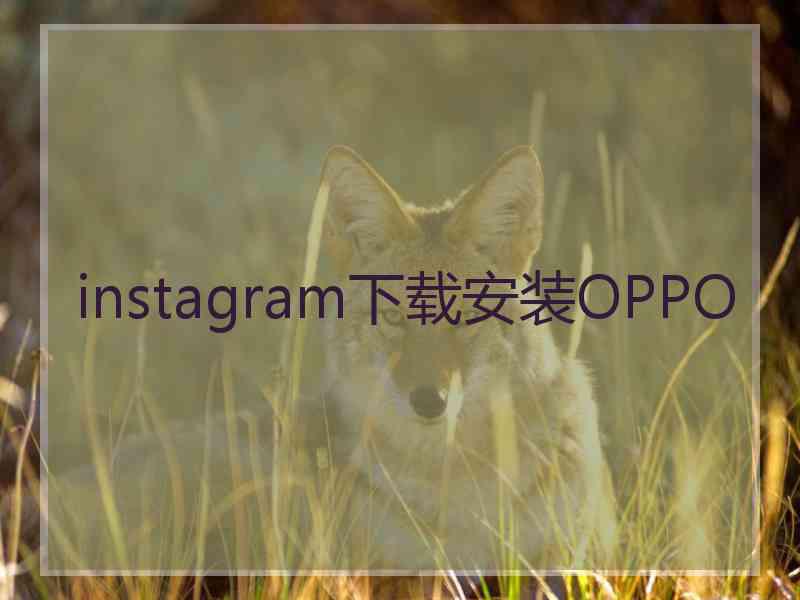 instagram下载安装OPPO