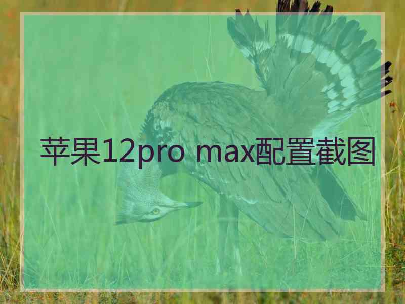 苹果12pro max配置截图