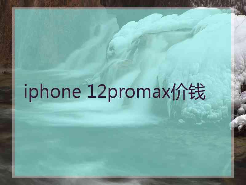 iphone 12promax价钱