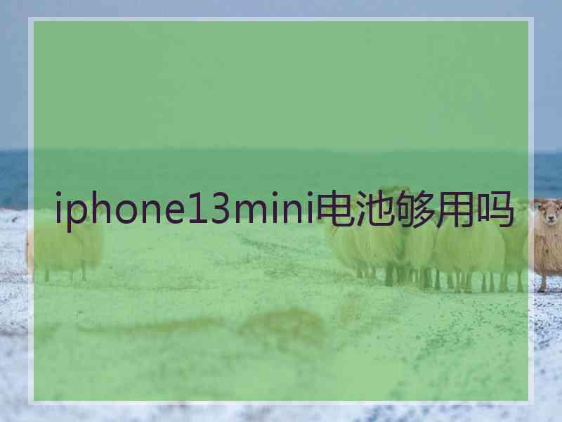 iphone13mini电池够用吗