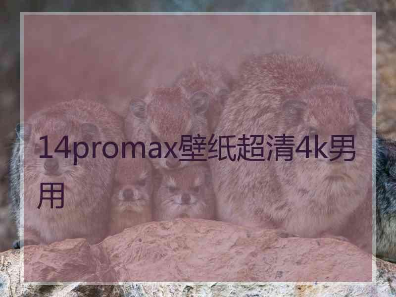 14promax壁纸超清4k男用