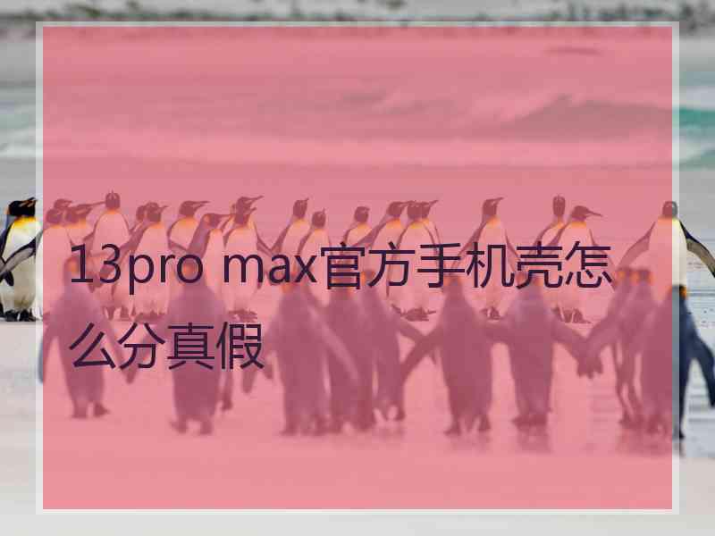 13pro max官方手机壳怎么分真假