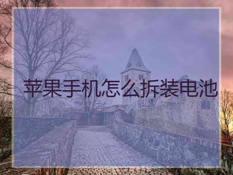 苹果手机怎么拆装电池