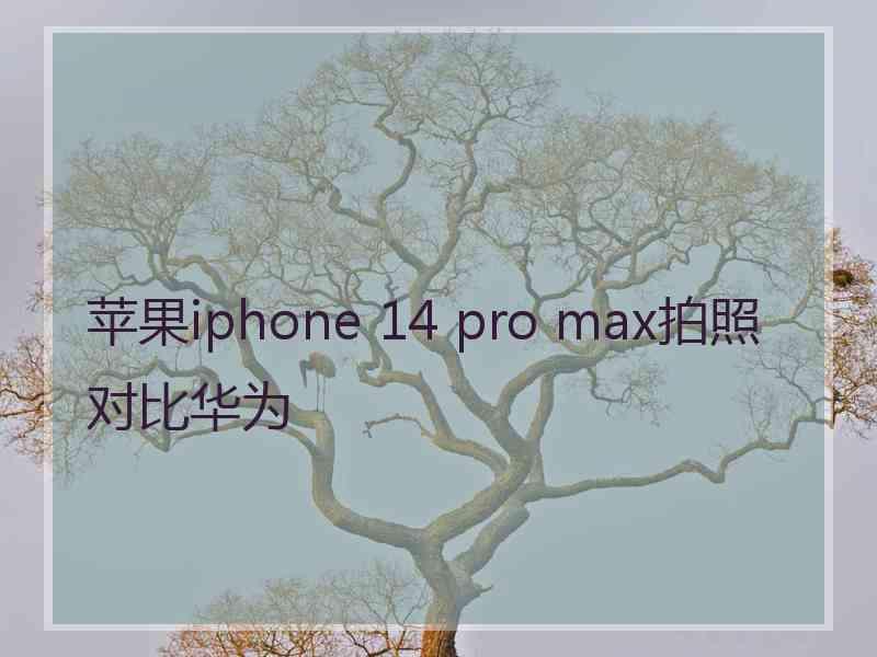 苹果iphone 14 pro max拍照对比华为