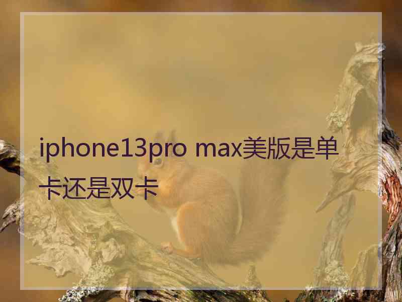 iphone13pro max美版是单卡还是双卡