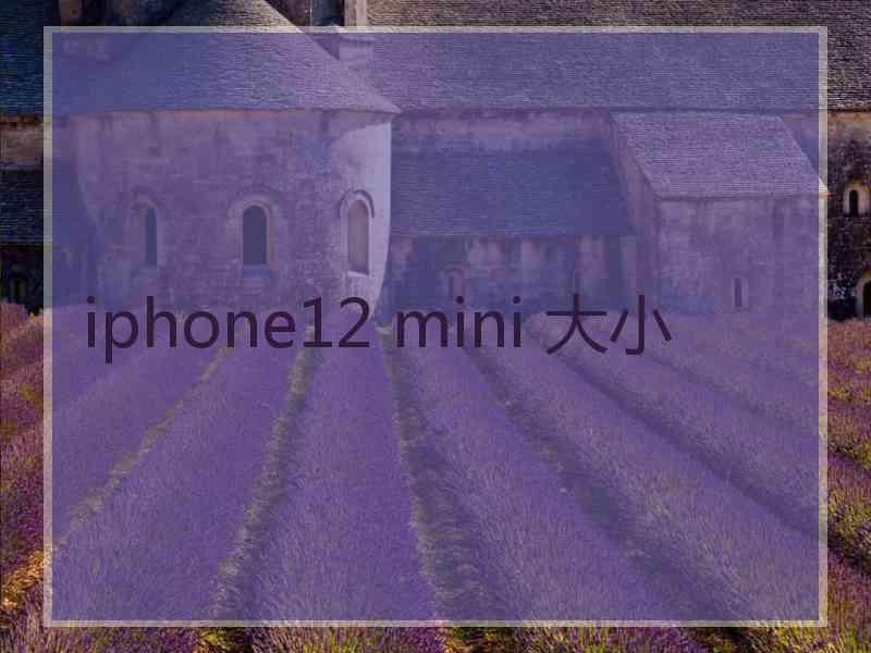 iphone12 mini 大小