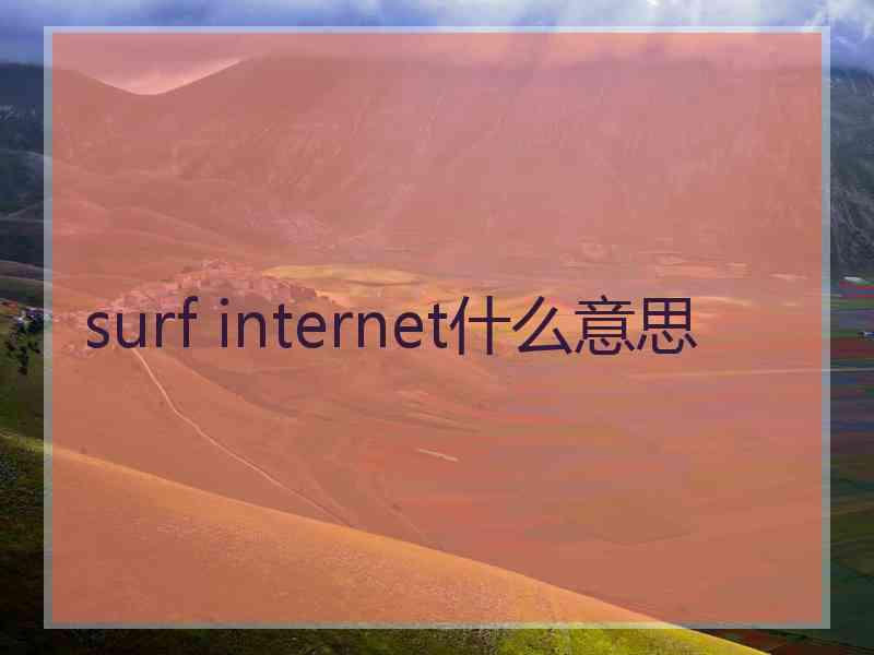 surf internet什么意思