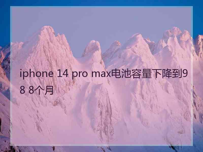 iphone 14 pro max电池容量下降到98 8个月